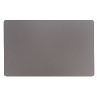 Трекпад MacBook Pro 16 Retina Touch Bar A2141 Late 2019 Space Gray Серый Космос